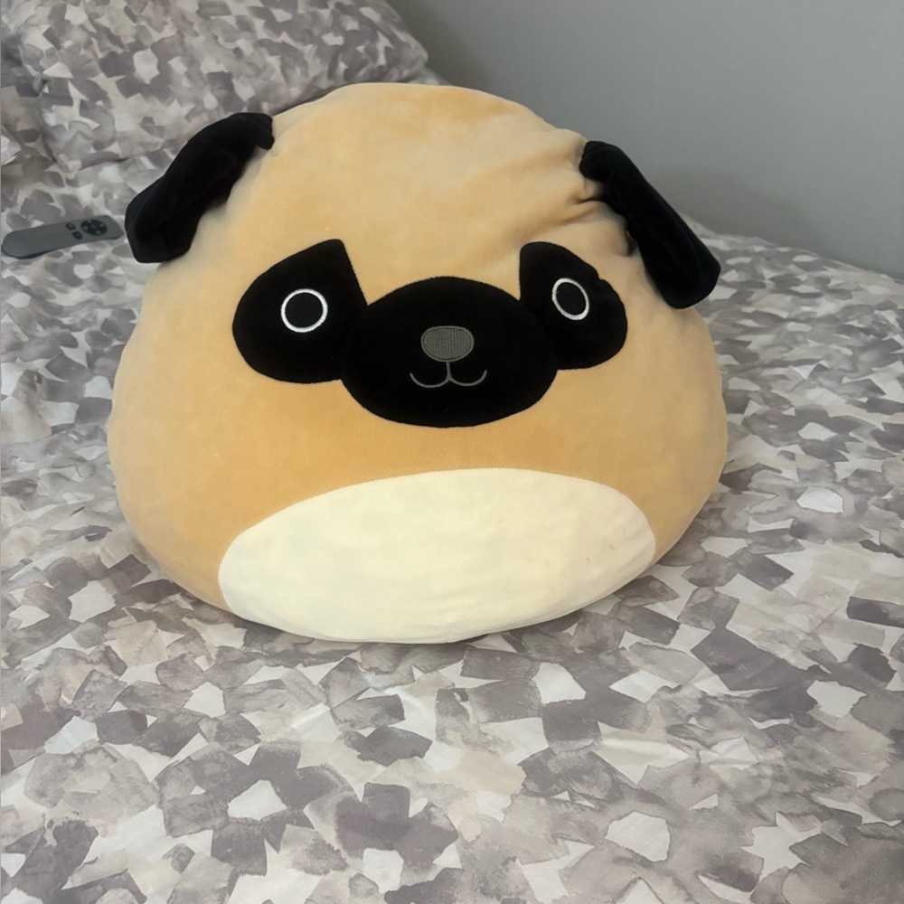 Coussin
